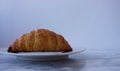 Freshly baked croissant on a white plate