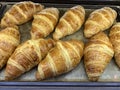 Freshly baked croissants on tray food Royalty Free Stock Photo