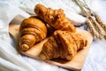 Freshly baked croissants on wooden cutting board Royalty Free Stock Photo