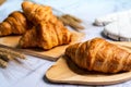 Home made freshly baked croissants on wooden cutting board Royalty Free Stock Photo