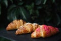 Freshly baked croissants on wooden cutting board Royalty Free Stock Photo
