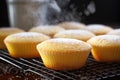 freshly baked cupcakes on a cooling rack Royalty Free Stock Photo