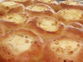 Freshly baked curd tarts-2