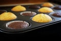 Freshly baked dark and light cupcake cakes in a muffin tin, background goes to black, copy space