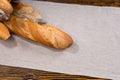 Freshly baked delicious crusty French baguette Royalty Free Stock Photo