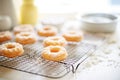 freshly baked donuts on a cooling wire rack, kitchen setting