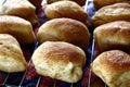 Freshly baked Filipino bread called Pan de sal or Bread of Salt