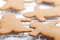 Freshly Baked Gingerbread Men