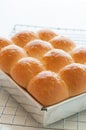 Freshly baked golden bun. Royalty Free Stock Photo