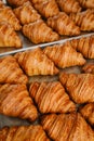 Freshly baked golden French croissants on baking sheet. Fresh classic pastries. Close up Royalty Free Stock Photo