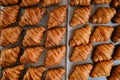 Freshly baked golden French croissants on baking sheet. Fresh classic pastries. Top view Royalty Free Stock Photo