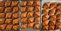 Freshly baked golden French croissants on baking sheet. Fresh classic pastries. Top view Royalty Free Stock Photo