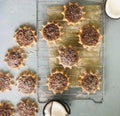 Freshly baked hand formed coconut pies.