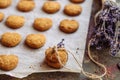 Freshly baked heart-shaped cookies on parchment paper, lavender flower