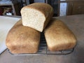 Freshly Baked Homemade Bread Loaves Cooling on Rack. Royalty Free Stock Photo