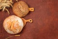 Freshly baked homemade bread, round sourdough cereal loaf with crispy crust and ears of rye and wheat on a concrete background Royalty Free Stock Photo