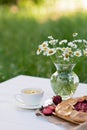 Freshly baked homemade galette or open strawberry pie and fresh mint leaves with a cup of chamomile herbal tea, summer food. Soft Royalty Free Stock Photo