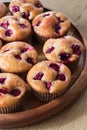 Fresh cherry muffins.