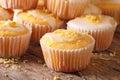 Freshly baked lemon muffins with frosting macro. horizontal