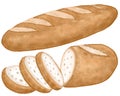 freshly baked loaf wheat baguette and Cutting baguette bread, Hand drawn pastel and chalk illustration