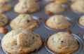 Freshly baked mini chocolate chip muffins in a baking pan Royalty Free Stock Photo