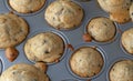 Freshly baked mini chocolate chip muffins in a baking pan Royalty Free Stock Photo