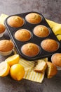 Freshly baked muffins with poppy seeds and lemon close-up in a baking dish. vertical Royalty Free Stock Photo