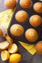 Freshly baked muffins with poppy seeds and lemon close-up in a baking dish. vertical top view Royalty Free Stock Photo