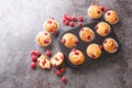 Freshly baked muffins with raspberries and white chocolate close-up in a muffin pan. Horizontal top view Royalty Free Stock Photo