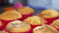 Freshly baked muffins, and removed from the oven, powdered with sugar, golden yellow