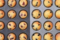 Freshly baked muffins with various kinds fruit