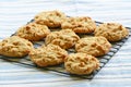 Freshly baked peanut butter cookies Royalty Free Stock Photo