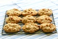 Freshly baked peanut butter cookies Royalty Free Stock Photo