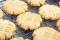 Freshly baked peanut butter cookies on a cooling rack