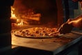 freshly baked pizza being removed from oven Royalty Free Stock Photo