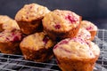 Freshly Baked Raspberry Muffins Piled on a Wire Cooling Rack Side View Royalty Free Stock Photo