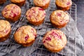 Freshly Baked Raspberry Muffins on a Wire Cooling Rack Royalty Free Stock Photo
