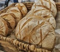 Freshly baked rye round bread with a cracked crust, close-up on breads in a bakery, delicious food, shopping Royalty Free Stock Photo
