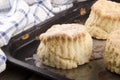 Freshly baked scone on a baking tray