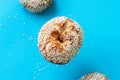 Freshly baked sesame seeded bagel. Blue background Royalty Free Stock Photo