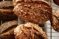 Freshly baked sour dough bread loafs left to cool down at the artesanal bakery. Royalty Free Stock Photo