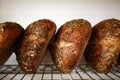 Freshly baked sour dough bread loafs left to cool down at the artesanal bakery. Royalty Free Stock Photo