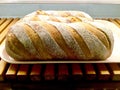 Freshly baked. Sourdough Bread . Royalty Free Stock Photo