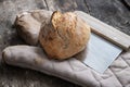 Freshly baked sourdough bread bun placed on a dough cutter and kitchen mitten