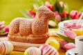 Freshly baked Spring lamb shaped Easter cake Royalty Free Stock Photo