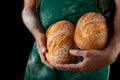 Freshly baked tasty bread in the baker& x27;s hands. Tasty baked goods straight from the bakery Royalty Free Stock Photo