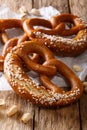 Freshly baked traditional pretzel with salt close-up. Vertical Royalty Free Stock Photo