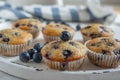 Freshly baked vanilla blueberry muffins