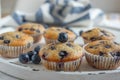 Freshly baked vanilla blueberry muffins