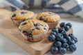Freshly baked vanilla blueberry muffins